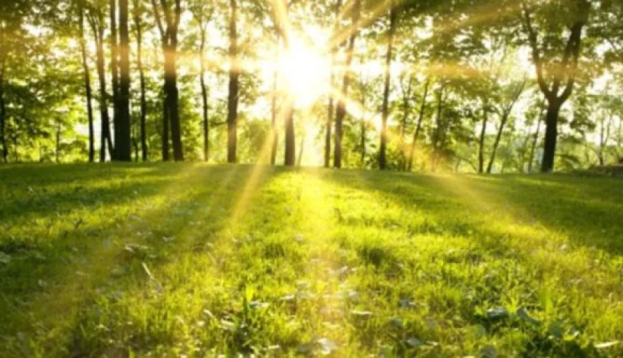 Hava Güneşli Sıcaklıklar 28°C’ye Kadar Yükseliyor Hava Güneşli Sıcaklıklar 28°C’ye Kadar Yükseliyor