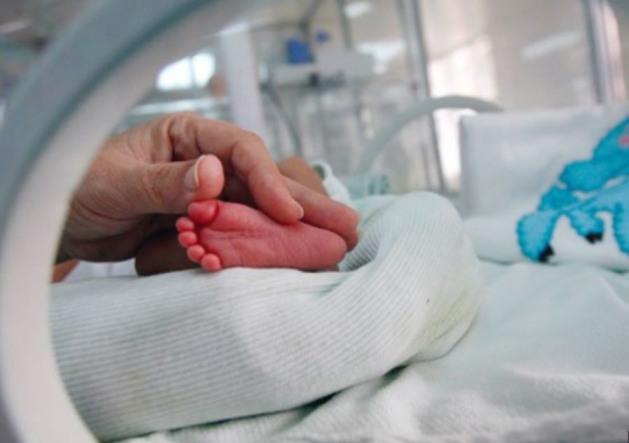 Kosova’da Bebek Terkleri Endişe Verici Seviyede Kosova’da Bebek Terkleri Endişe Verici Seviyede