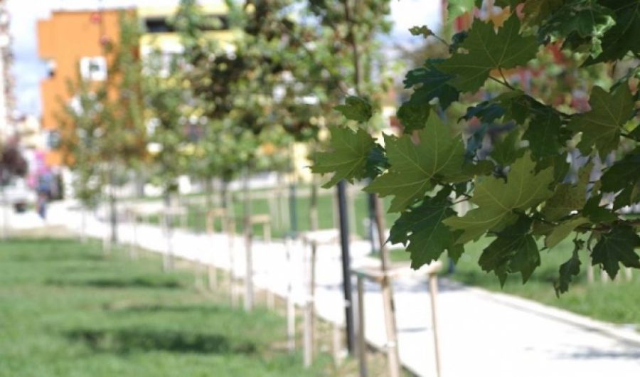 Hava Bugün Parçalı Bulutlu Hava Bugün Parçalı Bulutlu
